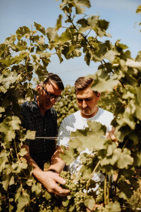 Ratsch an der Weinstraße Kultur Weingut Kaestenburg מראה חיצוני תמונה